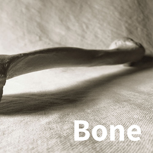 bone SQUID® Raamdecoratie Blomsma Print & Sign